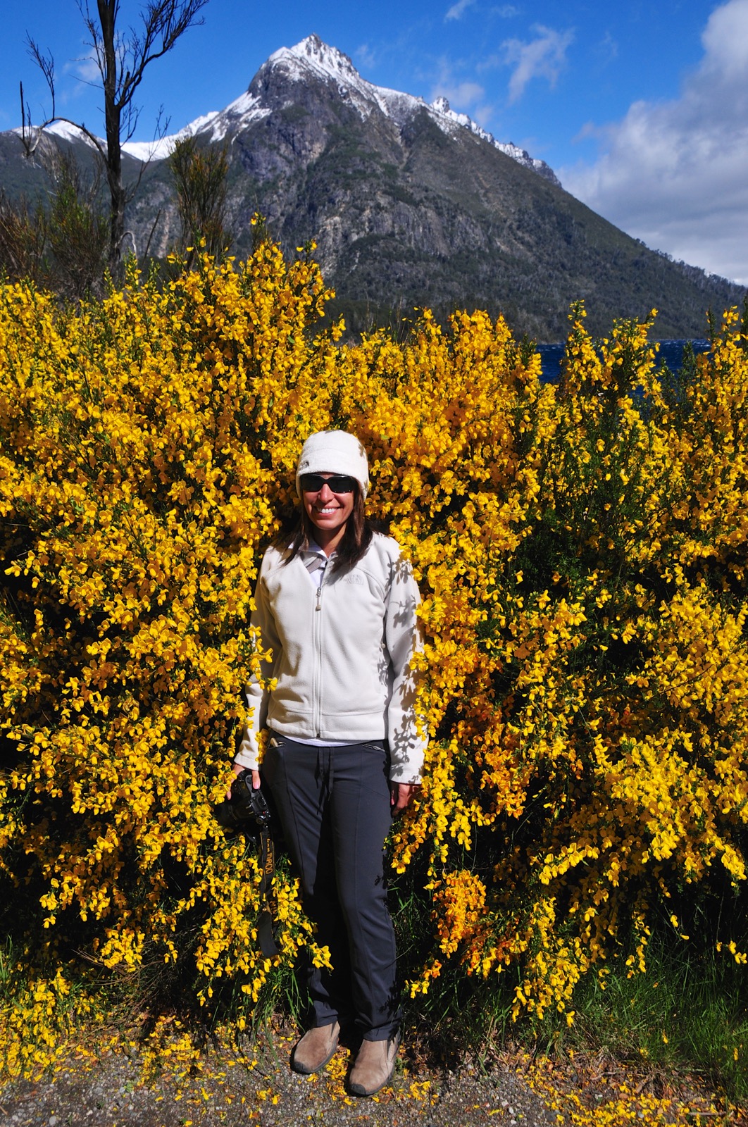 Being gobbled up by Scotch Broom!/