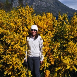 Being gobbled up by Scotch Broom!/
		    