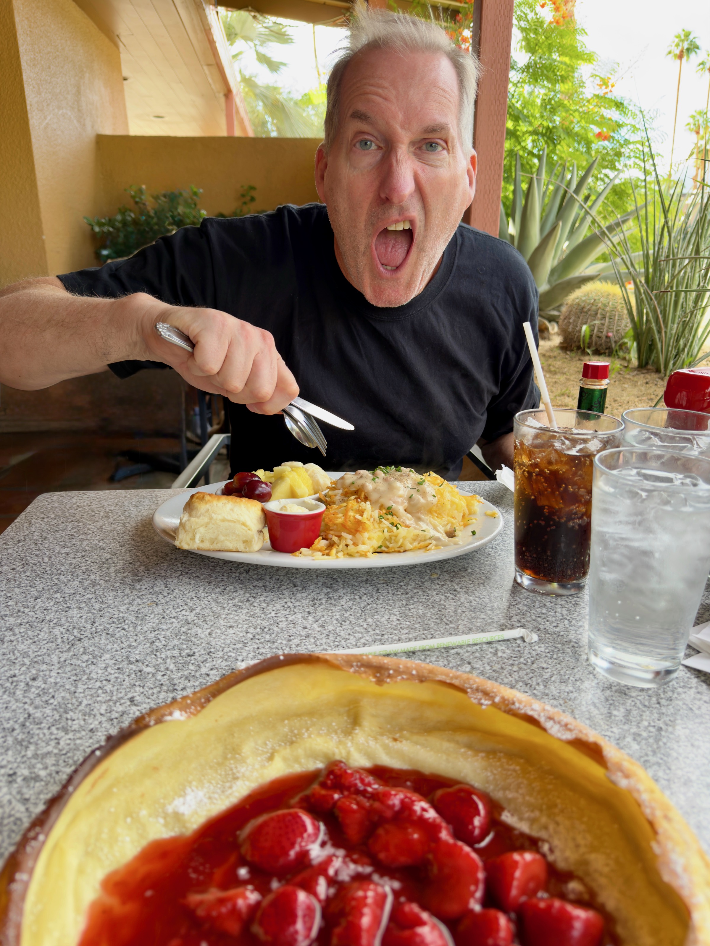 Another trip to Palm Springs, another breakfast at Elmer's/1030 E Palm Canyon Dr, Palm Springs, CA 92264, USA