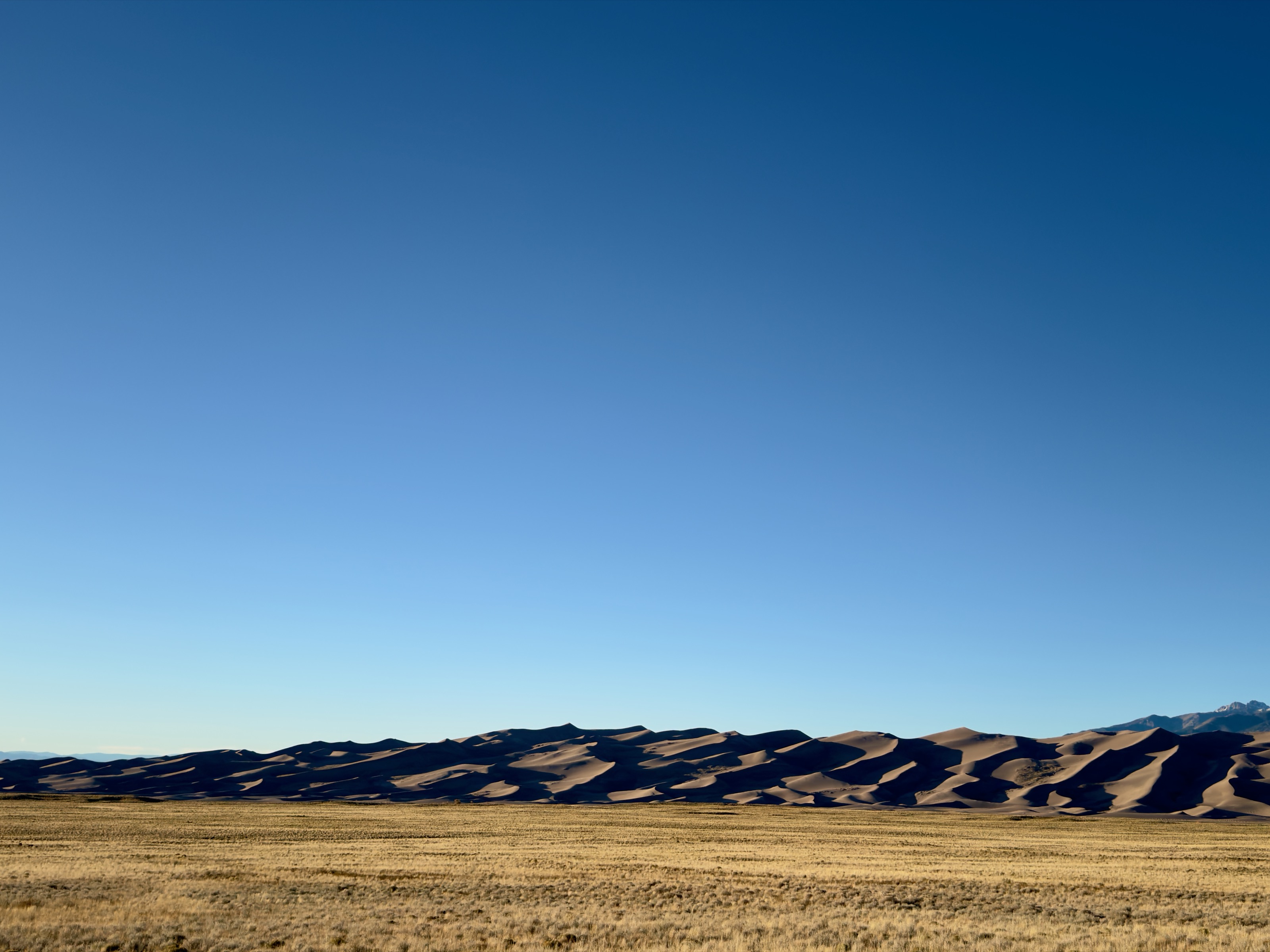 Dunes with the afternoon sun/9562 CO-150, Mosca, CO 81146, USA