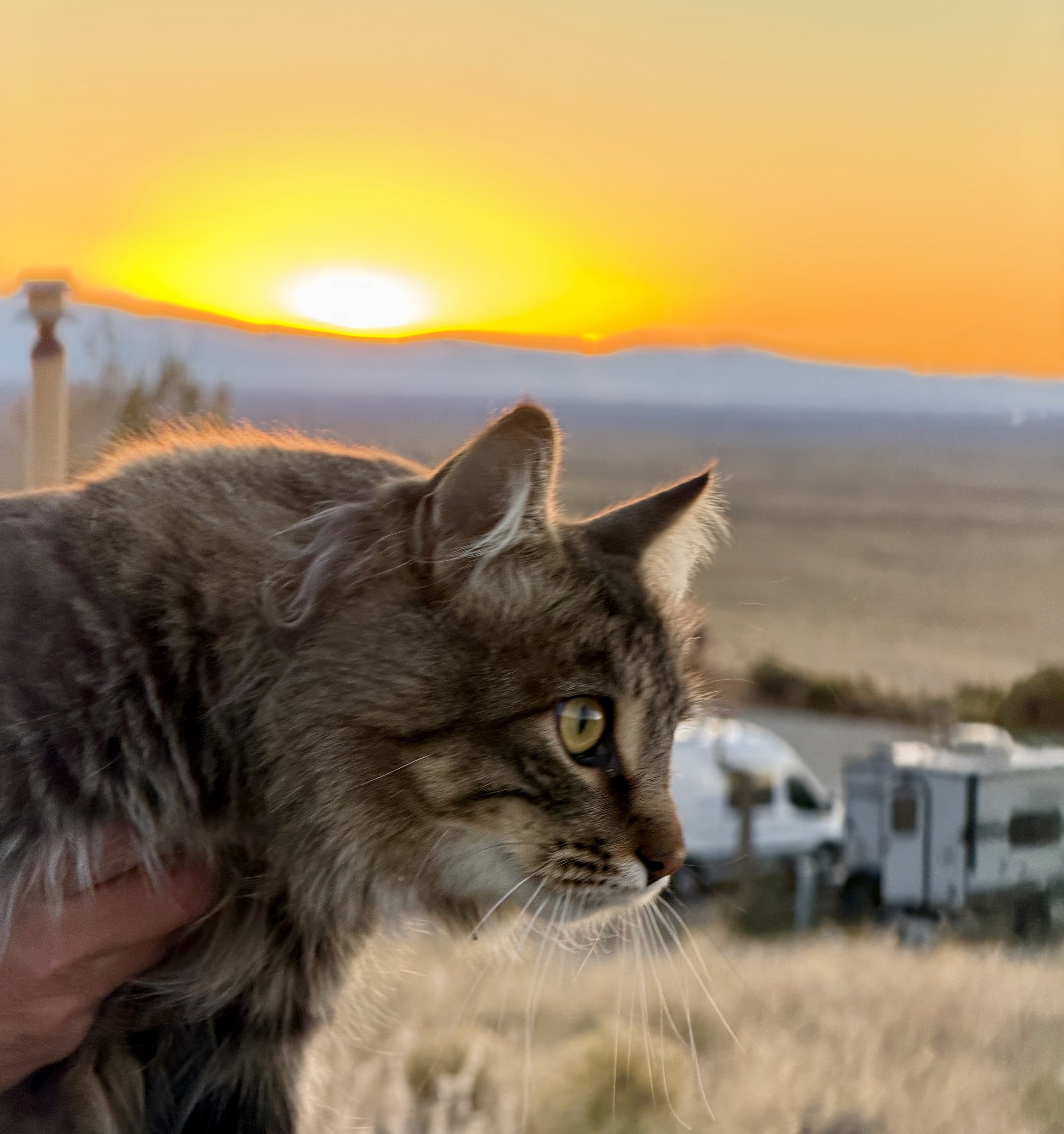 Peppermint!/7900 CO-150, Mosca, CO 81146, USA