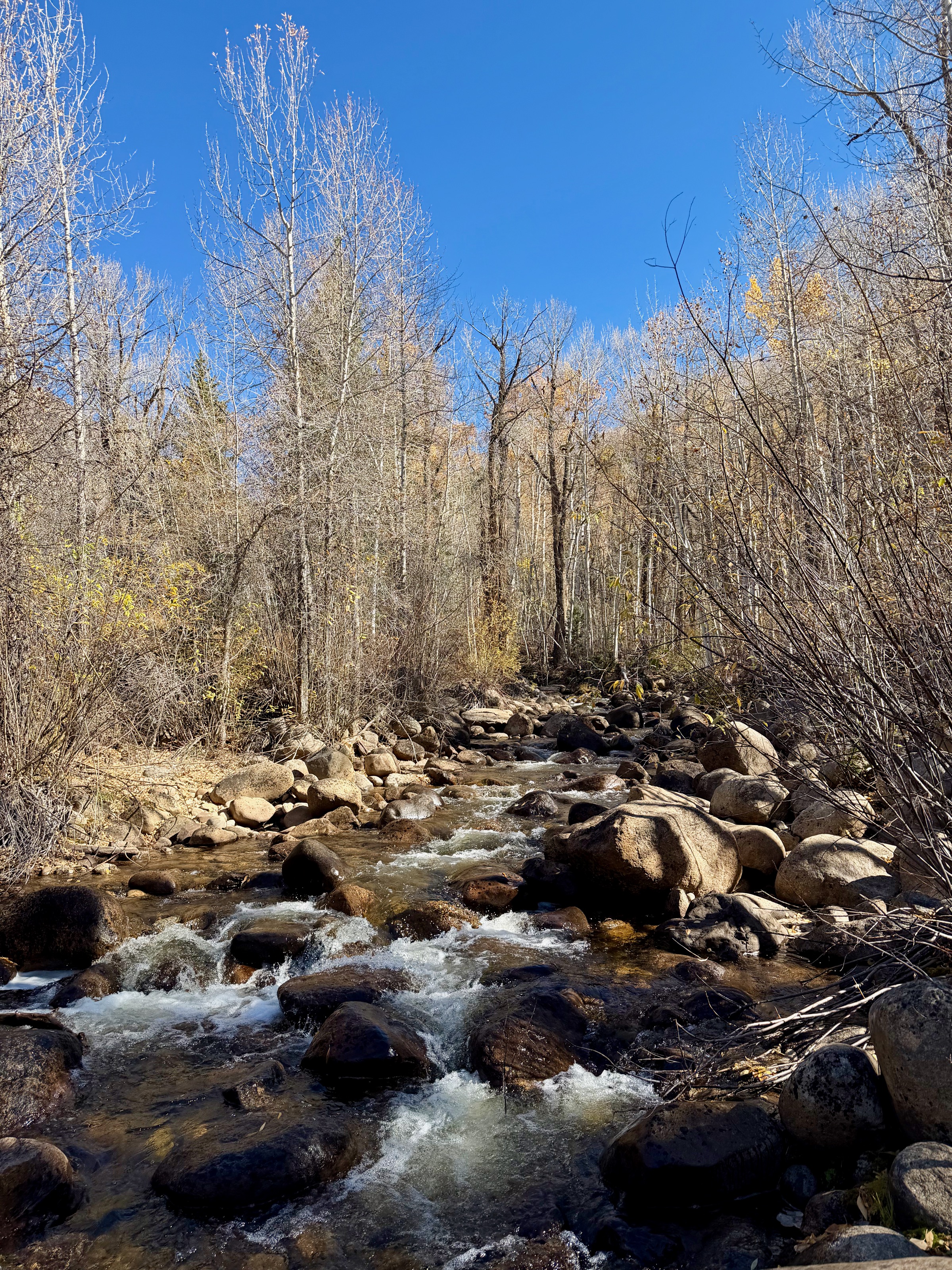 127 American Ln/127 American Ln, Aspen, CO 81611, USA