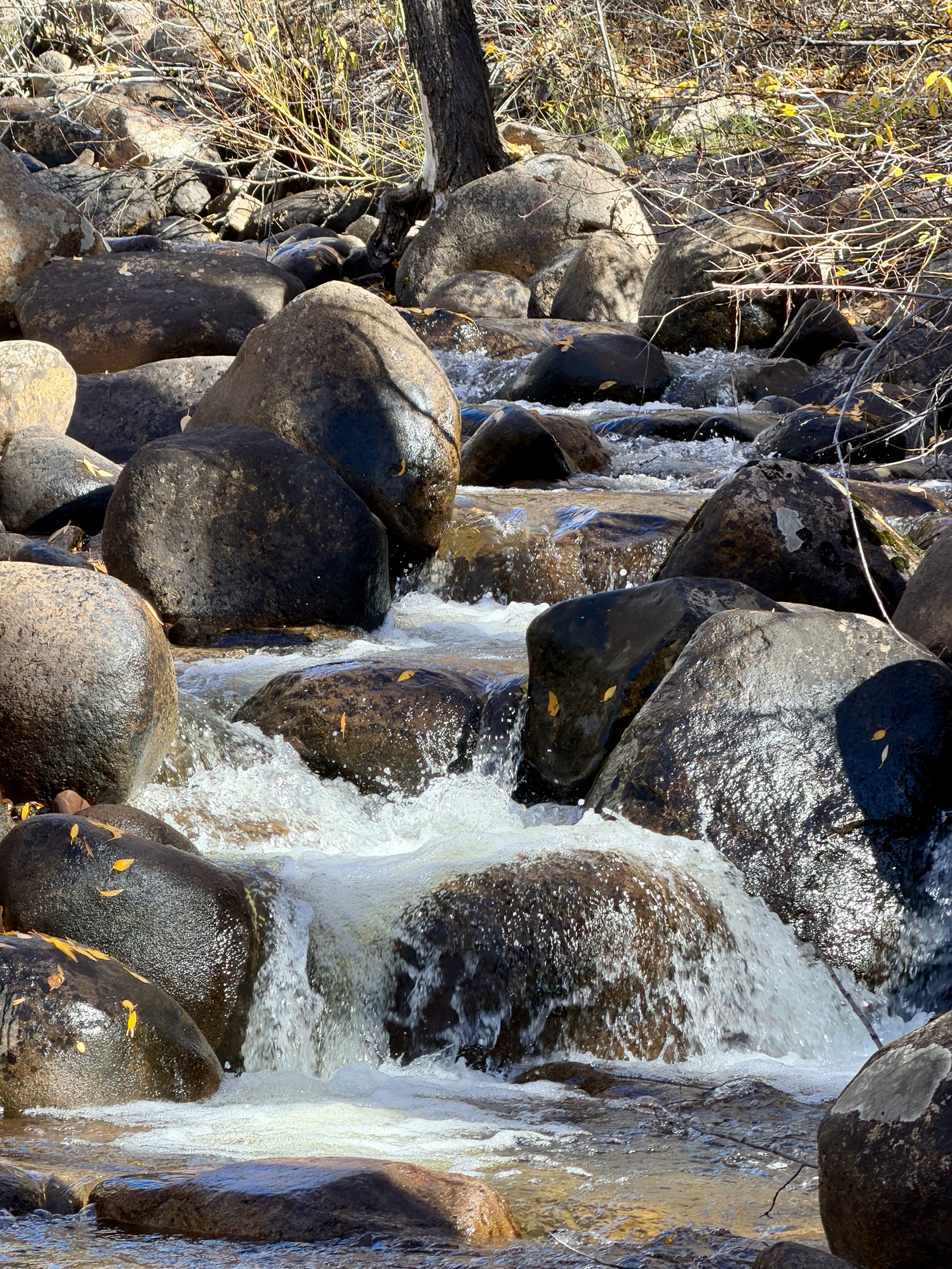 Lower Hunter Creek Trail/401 Williams Way, Aspen, CO 81611, USA