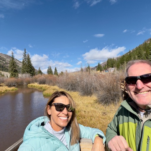 
		    241 Wildwood Ln, Aspen, CO 81611, USA