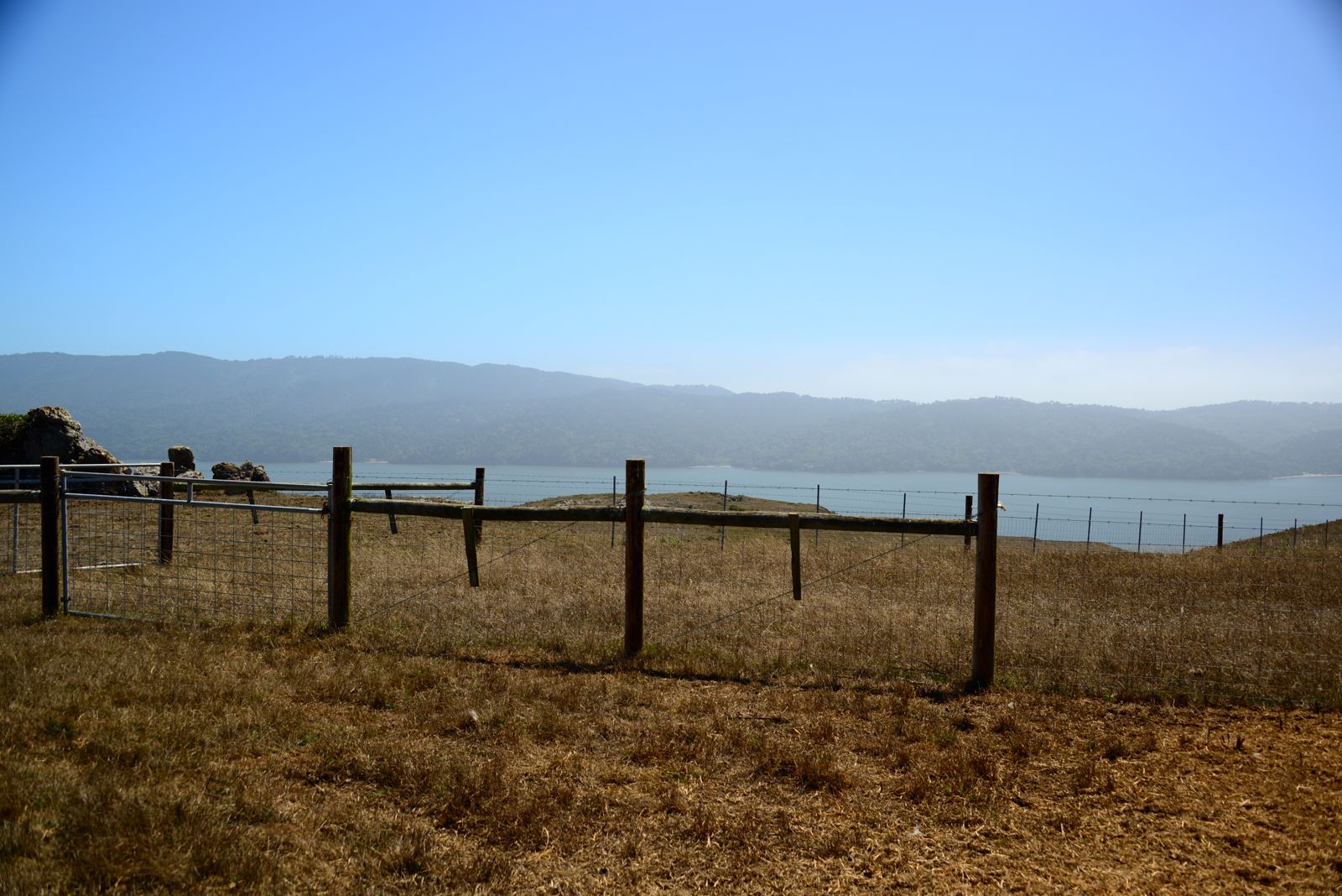 Sheep's beautiful view/