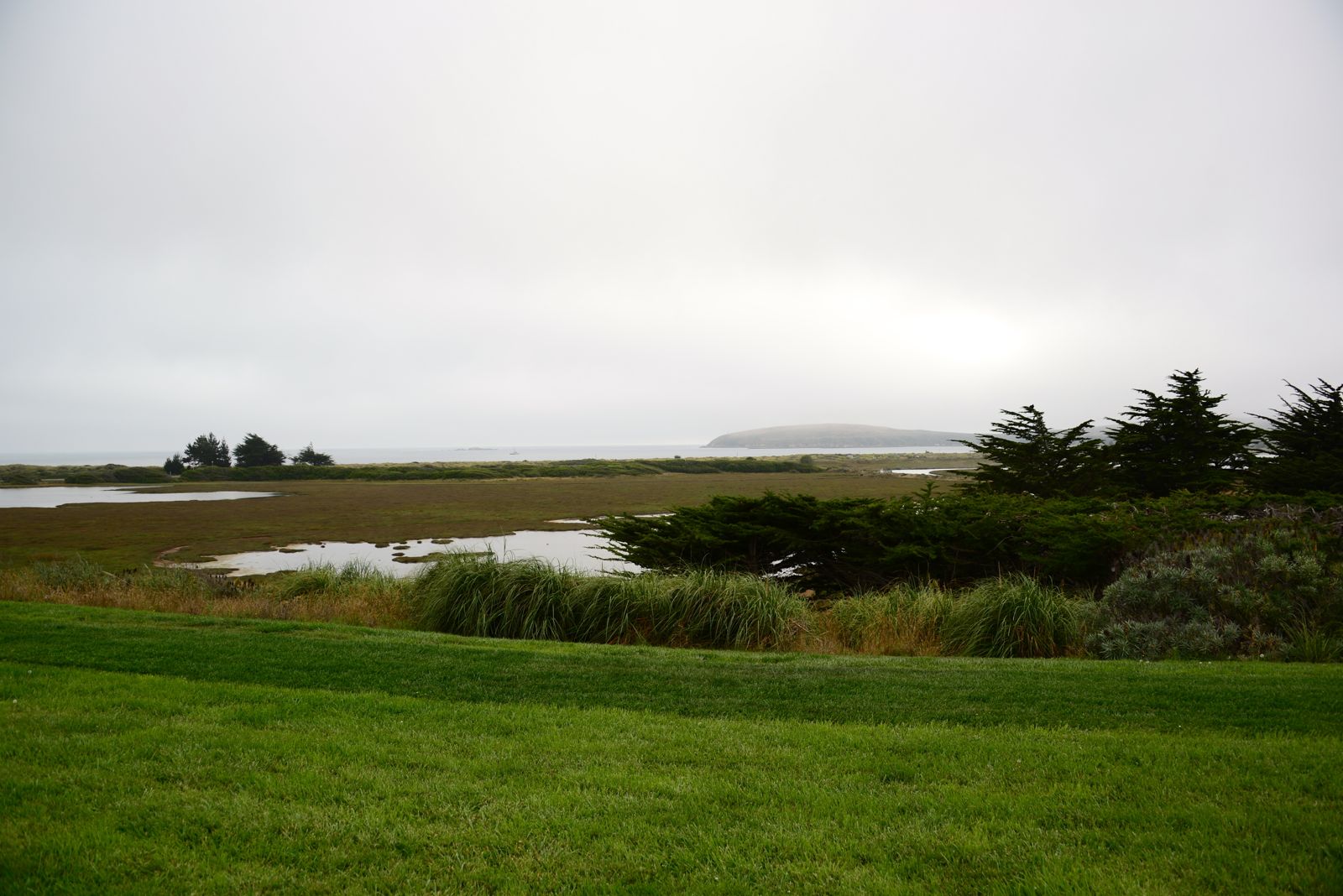 Still, not a bad view from our room/