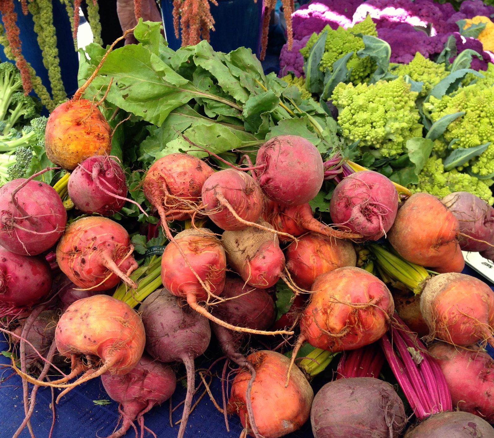 Quick stop at the farmer's market in Point Reyes Station/