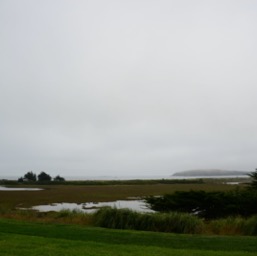 Ahh, foggy Bodega Bay/
		    