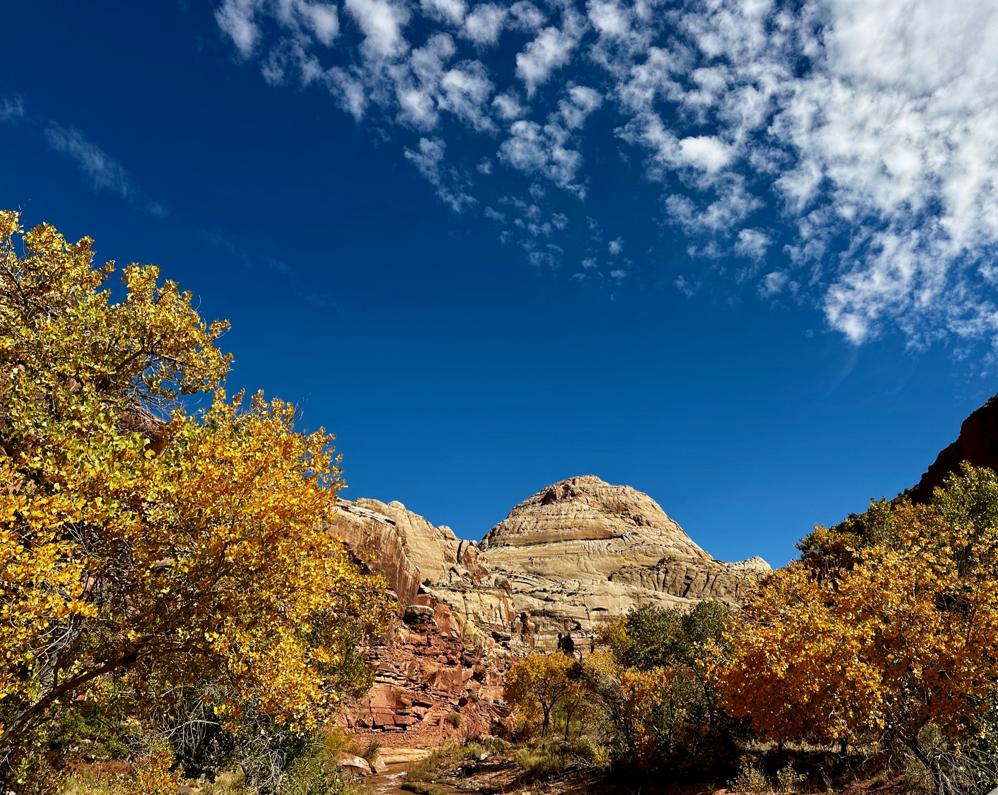 The namesake Capitol bump?/1503 UT-24, Torrey, UT 84775, USA