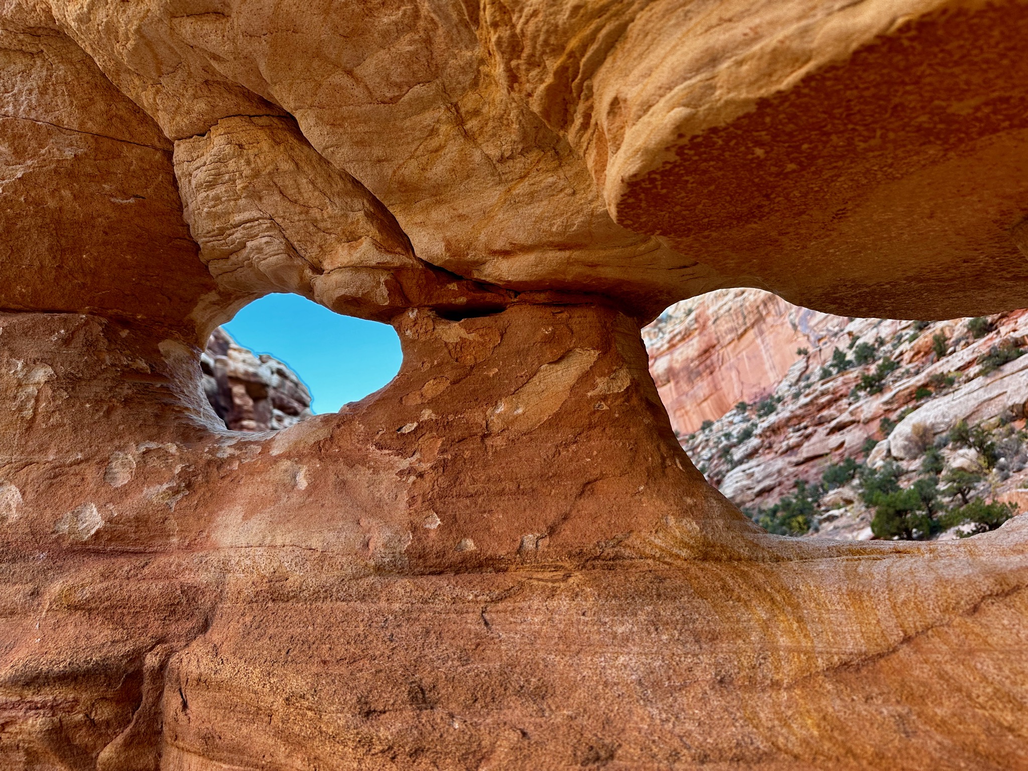 Holey rocks on Grand Wash Trail/2078 E Grand Wash Rd, Fruita, UT 84775, USA