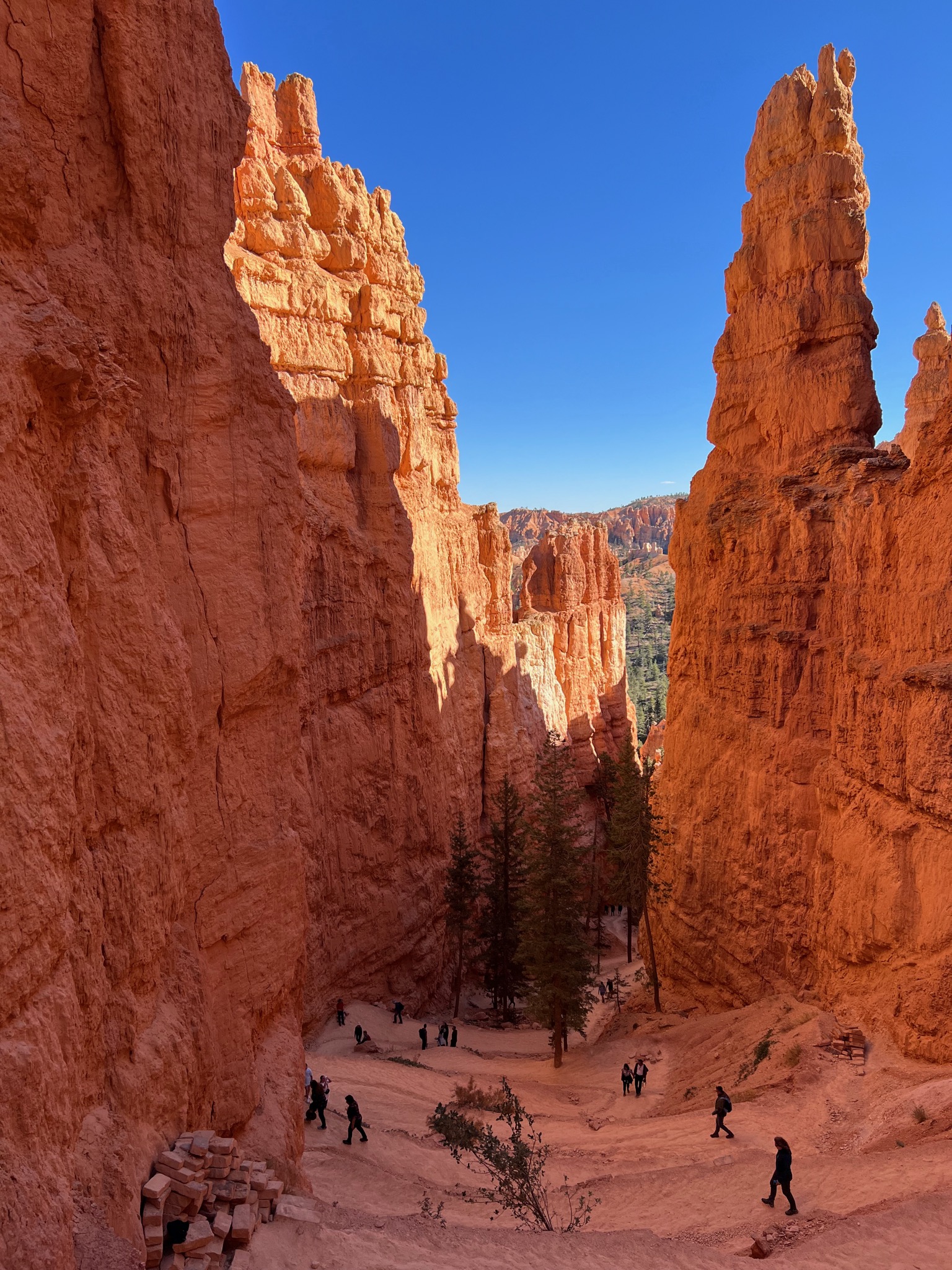 Super steep switchback up to the rim from Navajo Loop Trail/