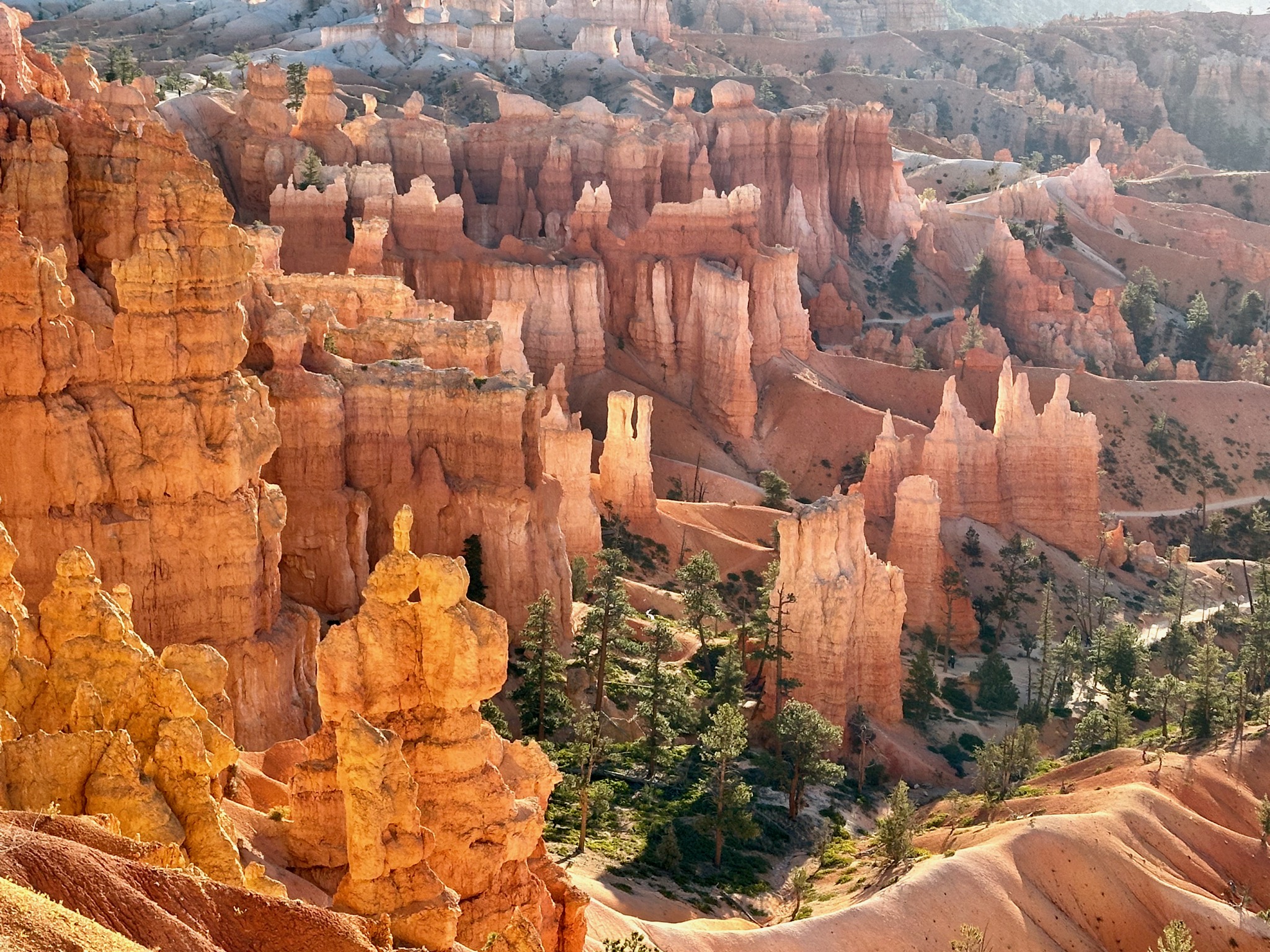 Rim Trail, Bryce Canyon National Park /