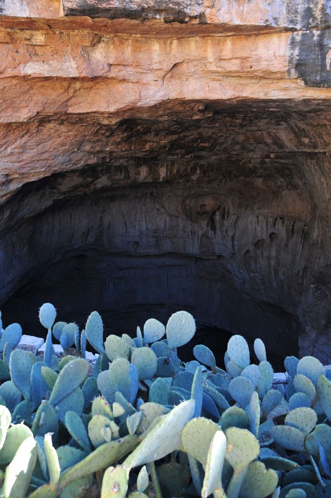 The natural entrance/