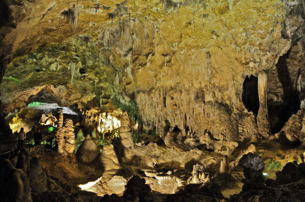 Can you find Assana?/