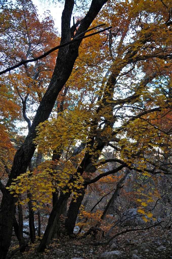 Hard to believe this is Texas!/