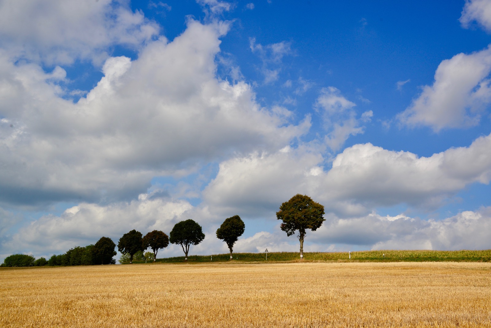More Luxembourg countryside. Good bye Luxembourg.../