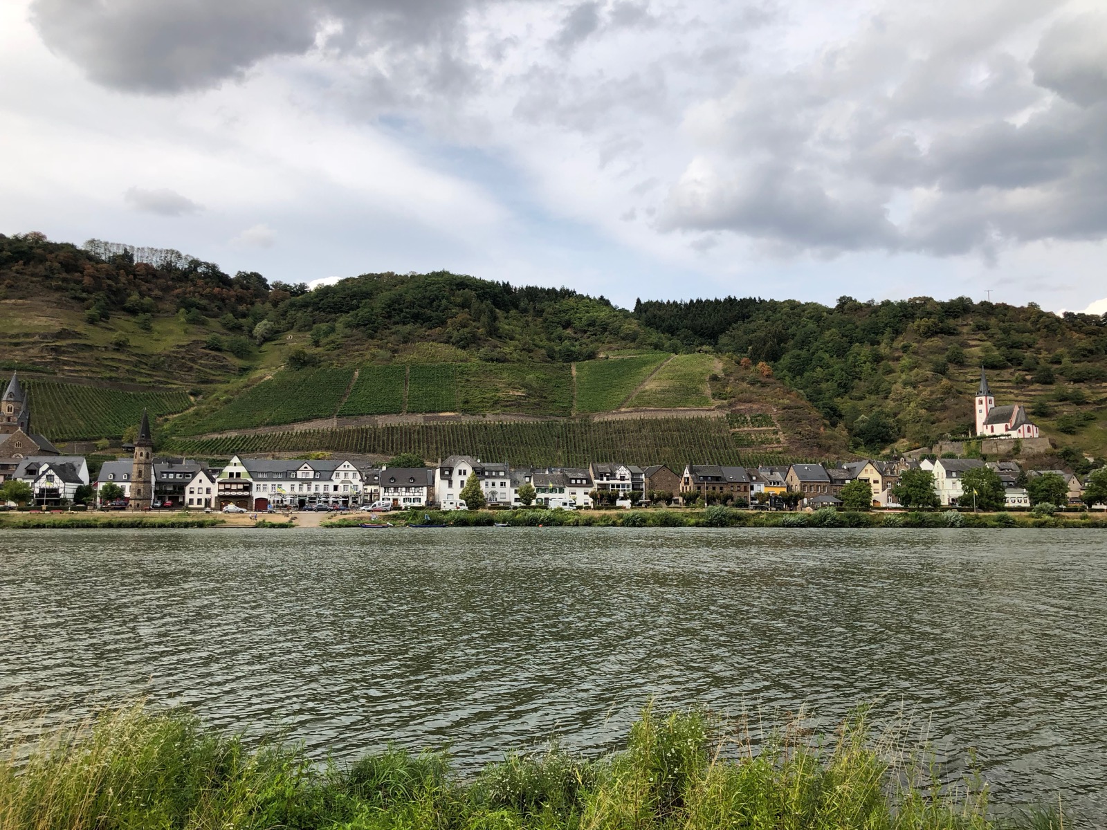 Vineyards along the Reine river/