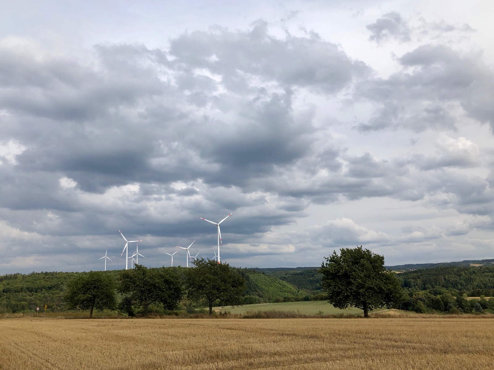 A gaggle of windmills... some of many many herds all over Germany/