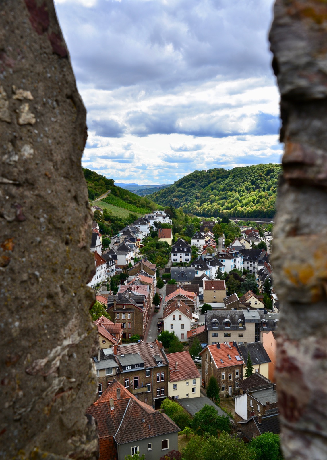 A castle and its town/