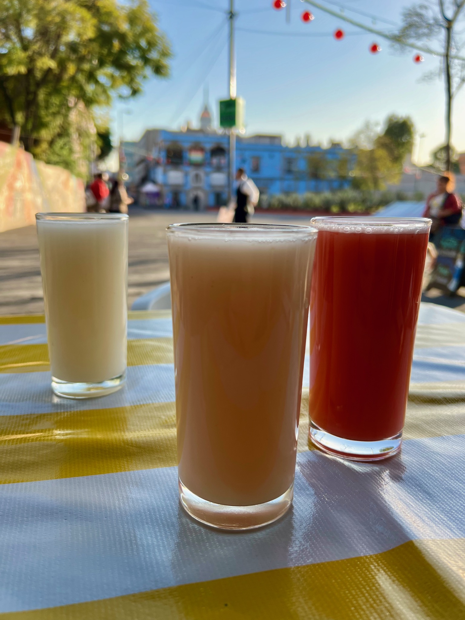 Flavored Pulque 🤮/