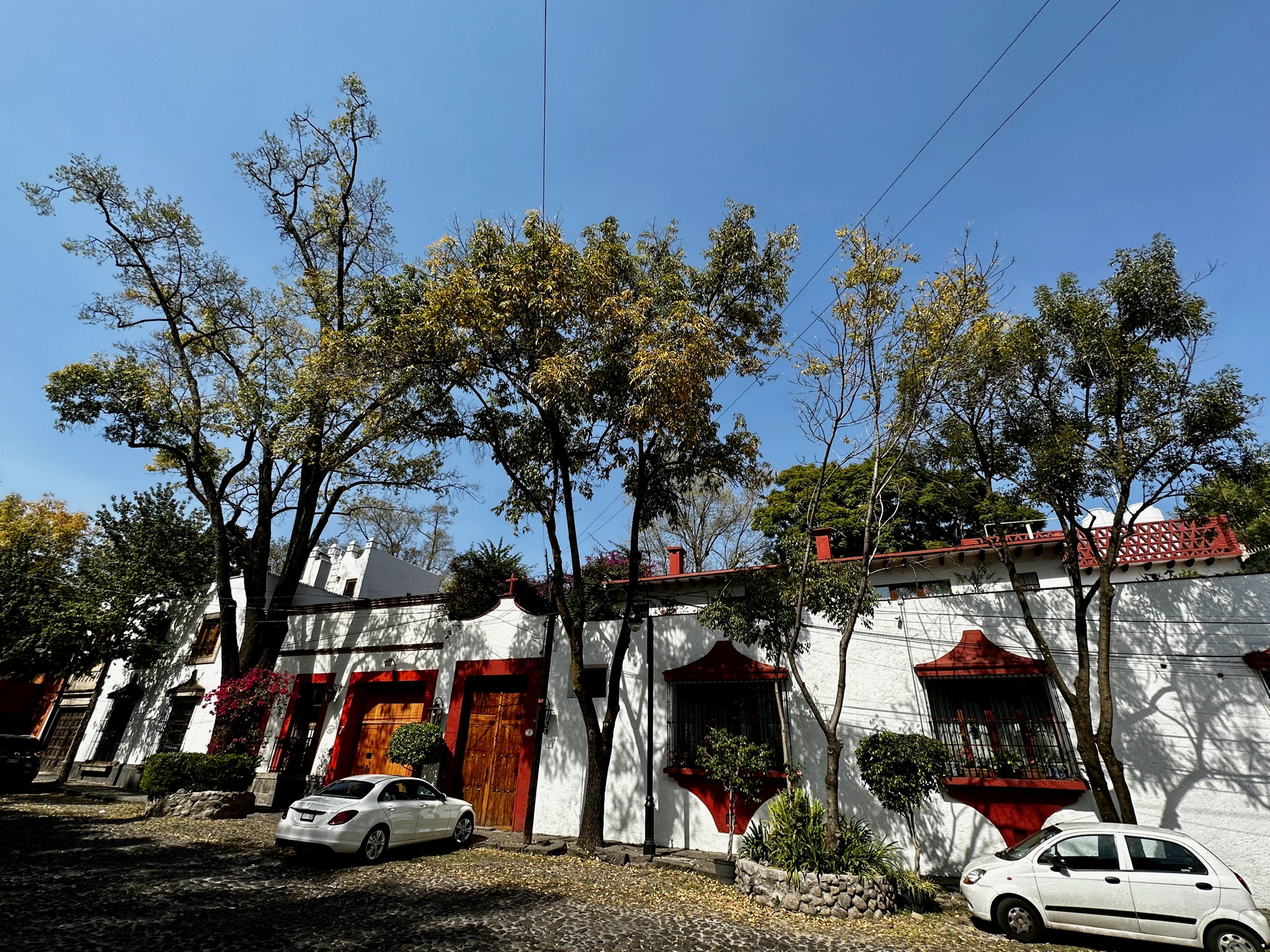 Calm streets of San Ángel/