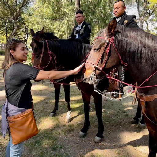 Assana found horses to pet... the policemen's horse/
		    