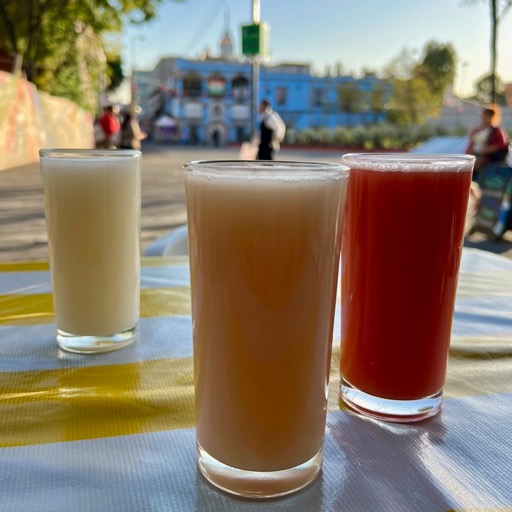Flavored Pulque 🤮/
		    
