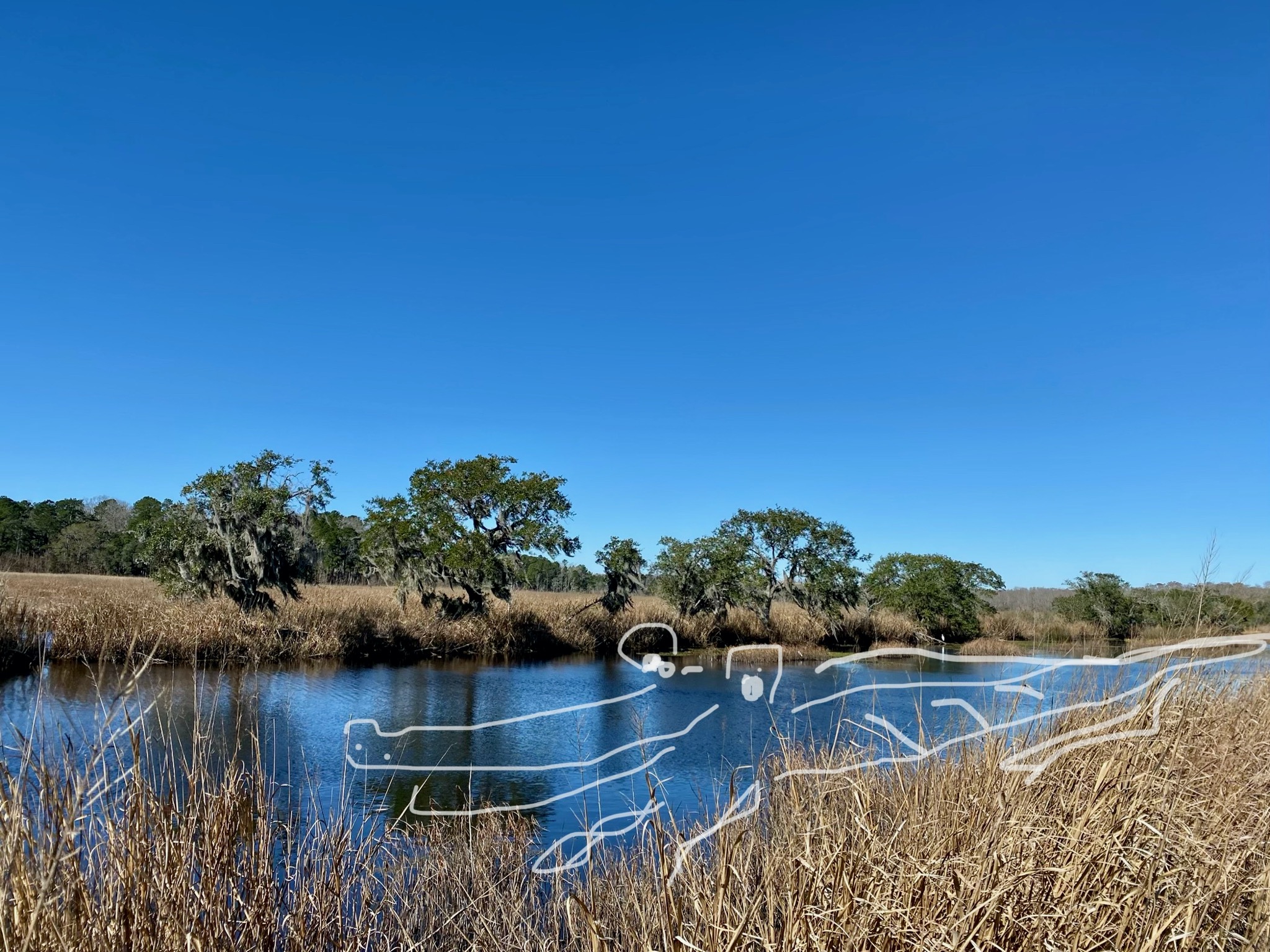 There it is! We found it!/