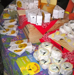 Lot's of yummy cheeses.../
		    
