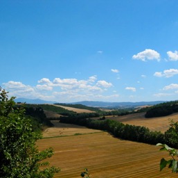 Tuscan countryside/
		    