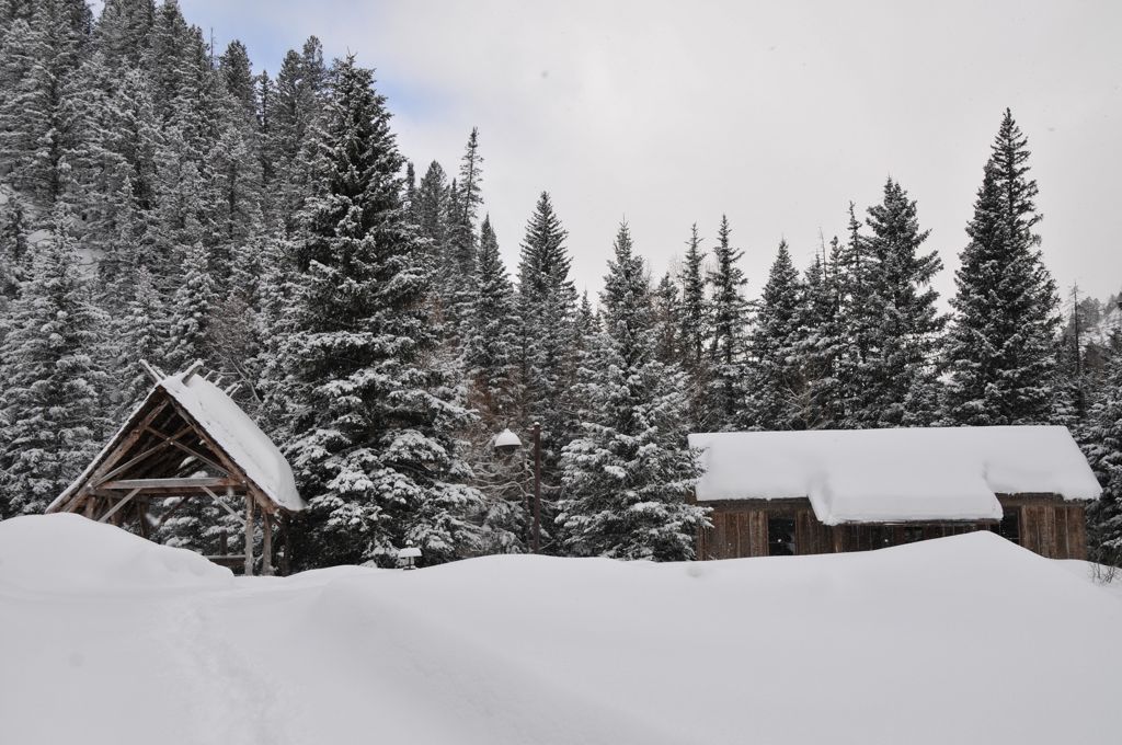 Until the next morning. 11 inches!/