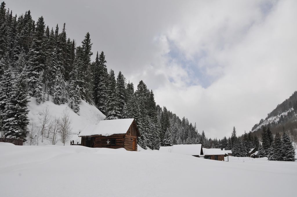 Buried in fresh snow/