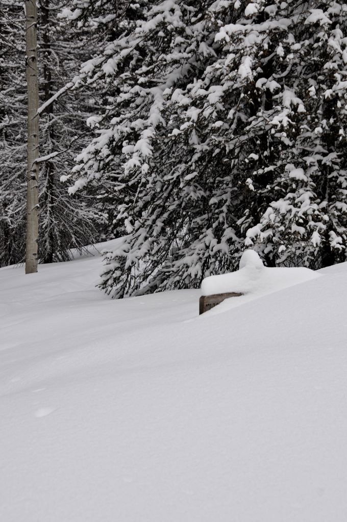 Is that the trail marker?/