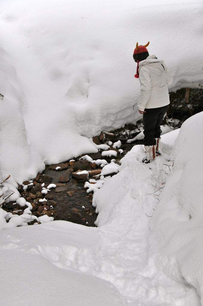 Contemplating the stream.../