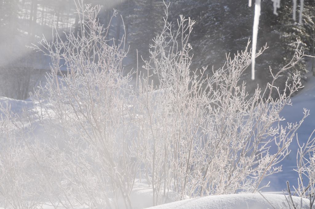 Everything is frosty!/