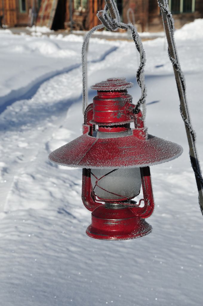 What can I say... they were cute!/