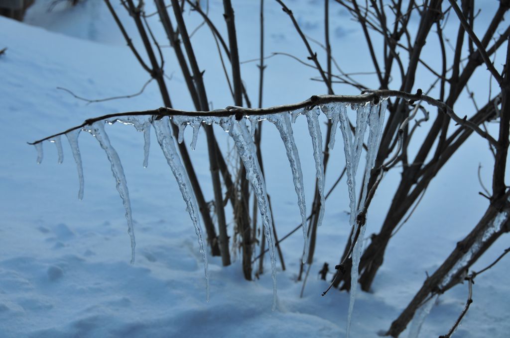 Icicle tree/