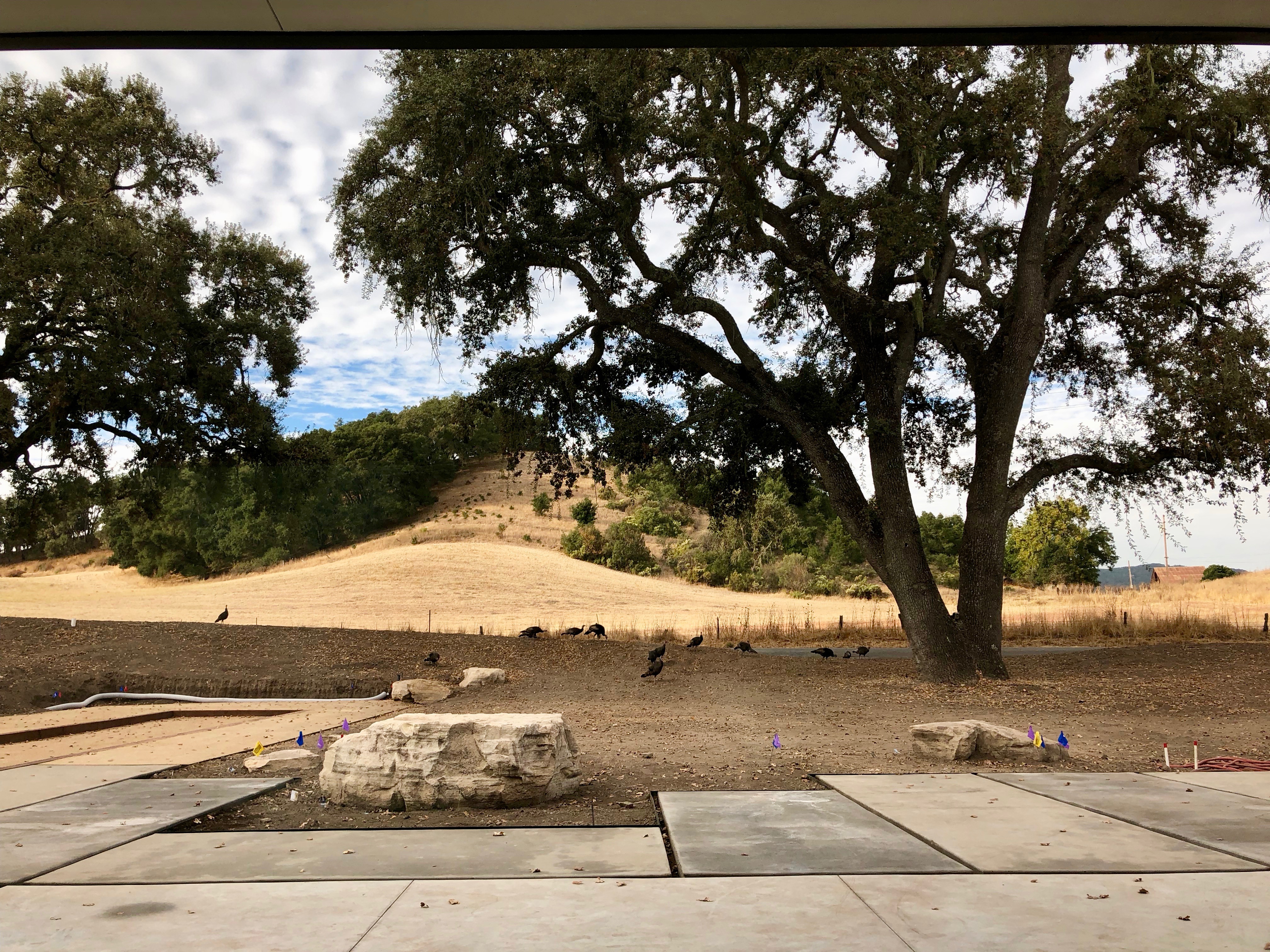 Neighbors stopping by/