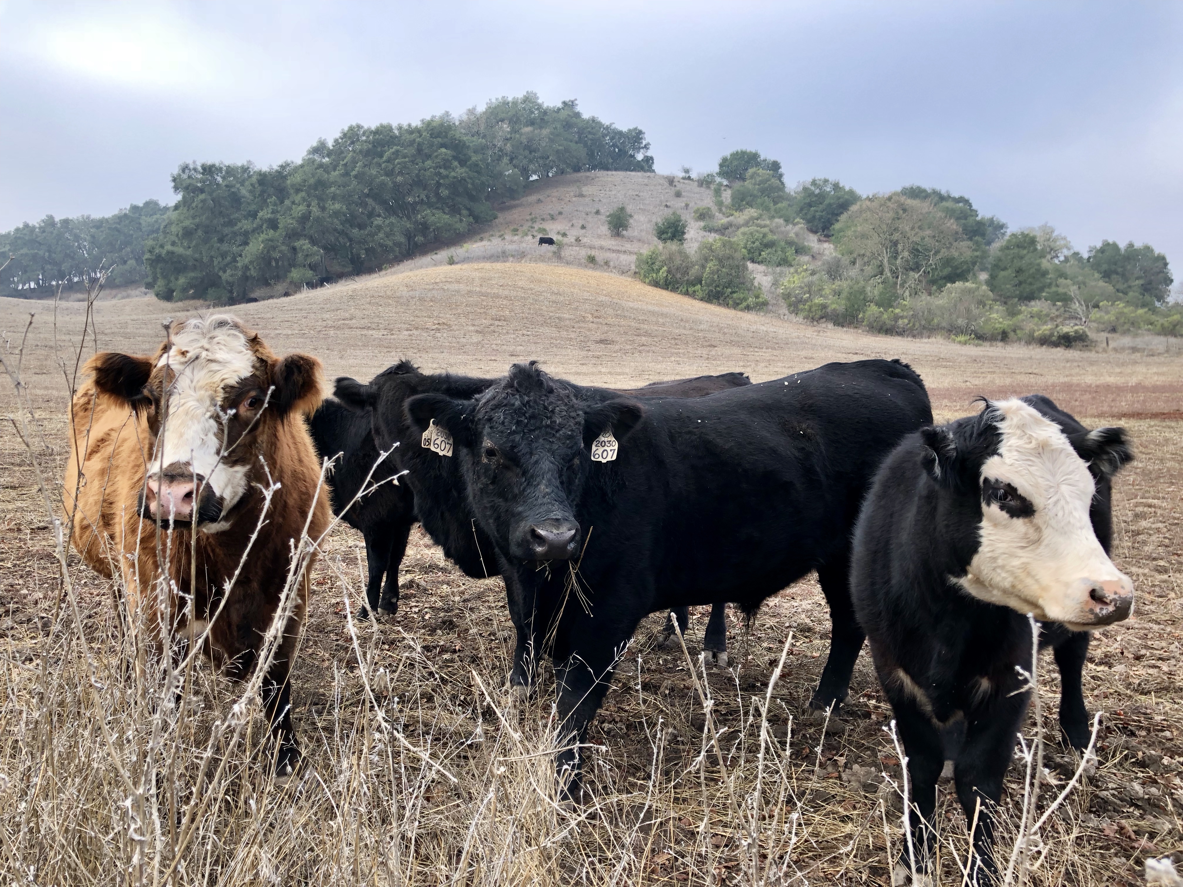 Being judged, again/