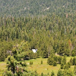Looking down to the cabins