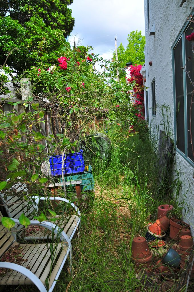 Hmm... yes there's a side yard here!/