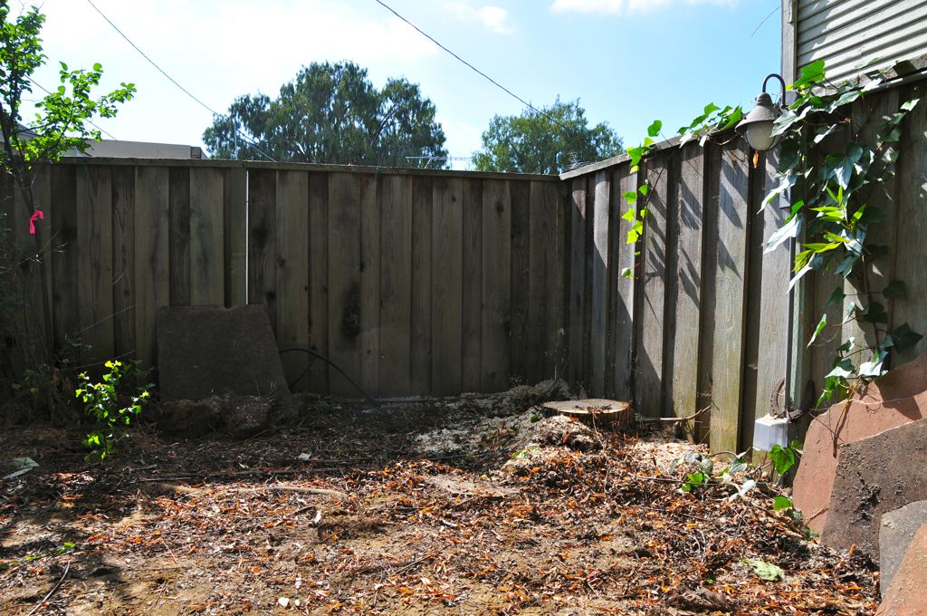 Dead weeping willow? Gone!/