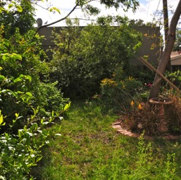 Looking towards what will be the BBQ patio/
		    