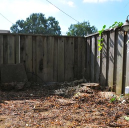 Dead weeping willow? Gone!/
		    