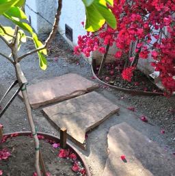 The flagstones from the old patio make the walkway/
		    