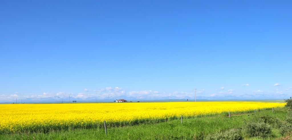 Assana couldn't get enough!/