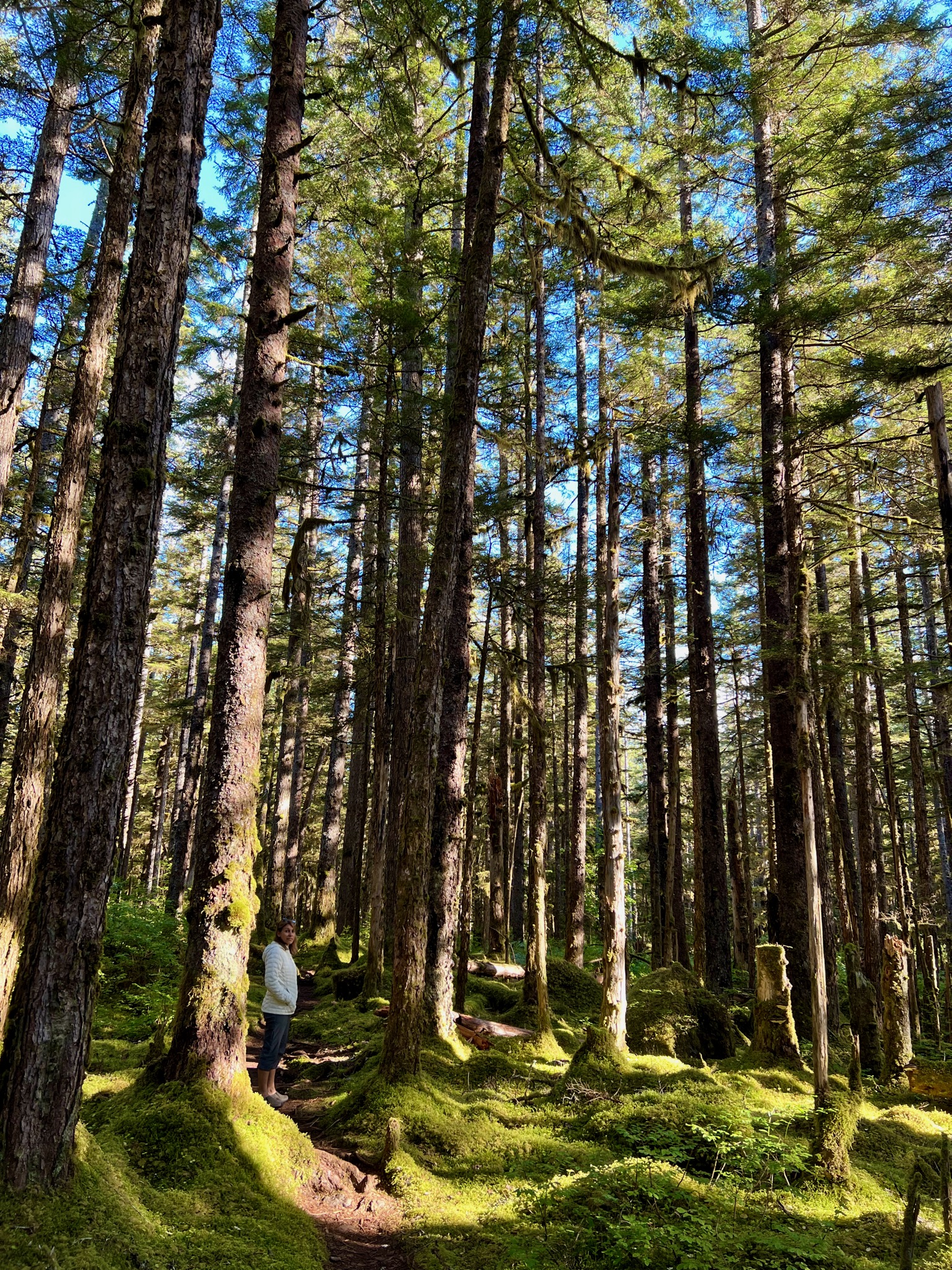 Bartlett River Trail/