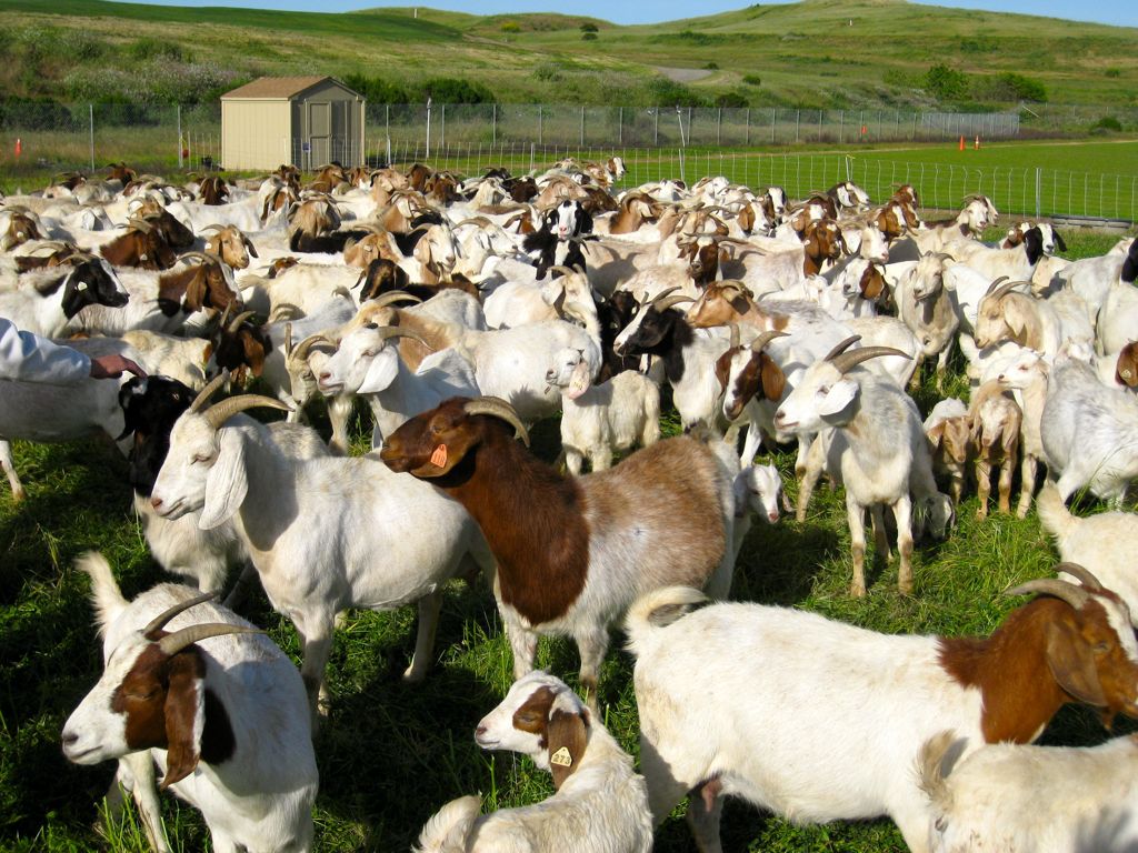 ... and everyone runs over!/