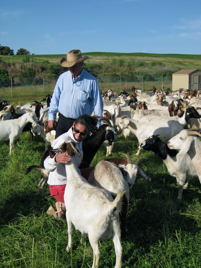 Everyone wants attention/