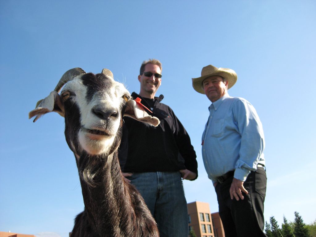 Dan, Mike, and Sweetie/